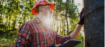 A man standing in a forest examines a tree after learning what you can do with a forestry degree.