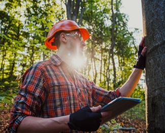 A man standing in a forest examines a tree after learning what you can do with a forestry degree.