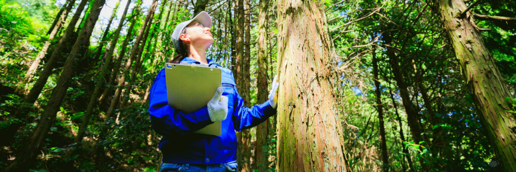 A conservation specialist in a forested area is seen looking up at a tree and smiling while placing her hand on the trunk.