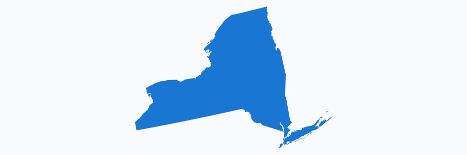 Image shown is a blue silhouette of the state of New York.