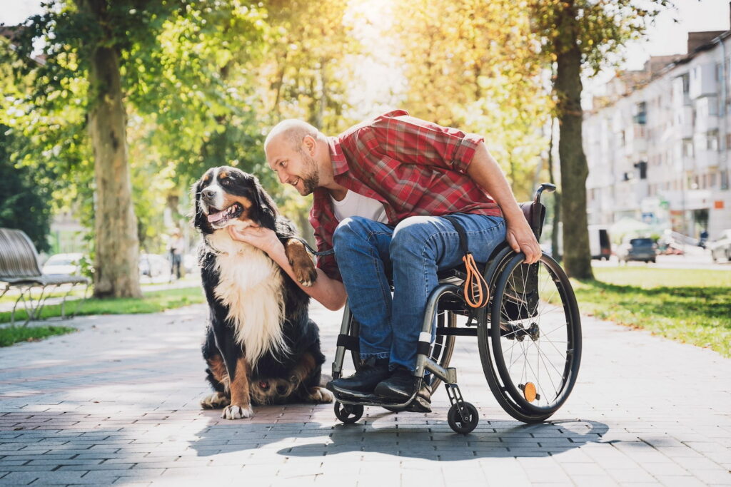 A smiling man in a wheelchair pets a large, fluffy dog while sitting on a sunlit park path lined with trees, with buildings visible in the background.